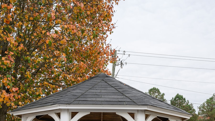 Quality Inn & Suites Lexington South