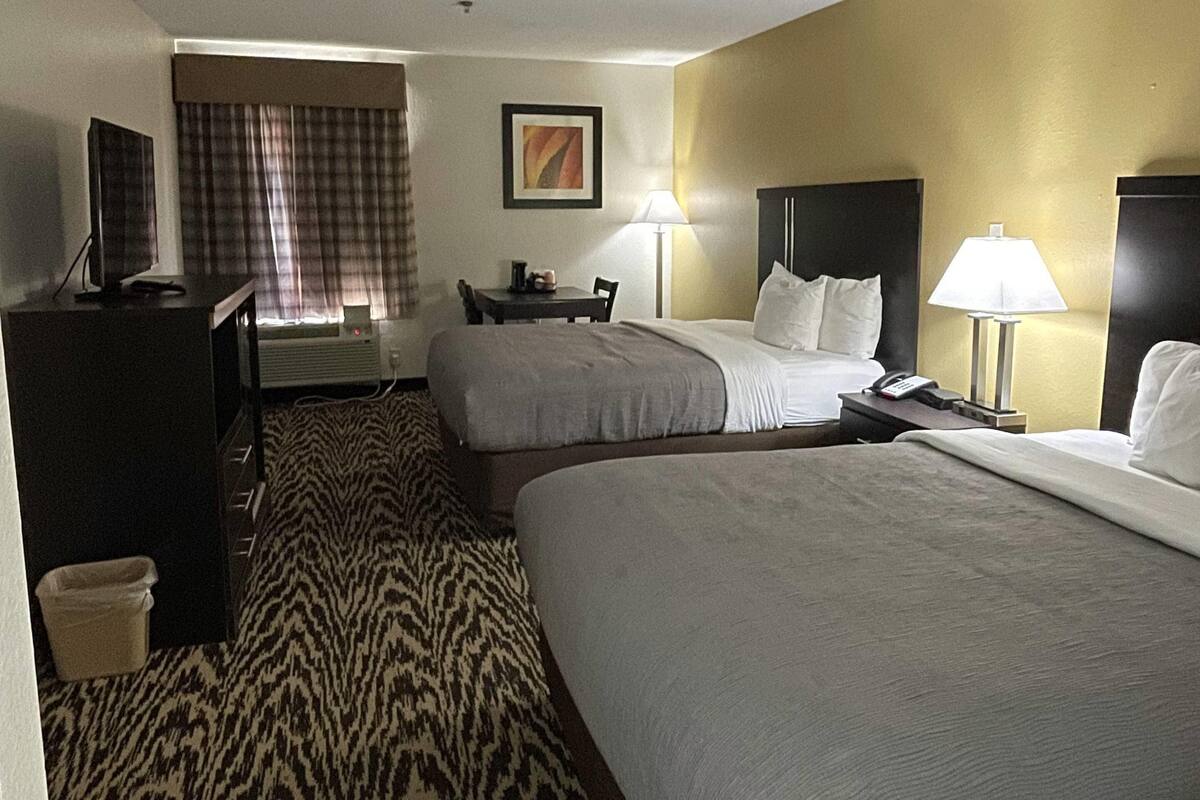 Habitación de hotel con dos camas, un escritorio, una silla, un televisor, una lámpara y una alfombra estampada.