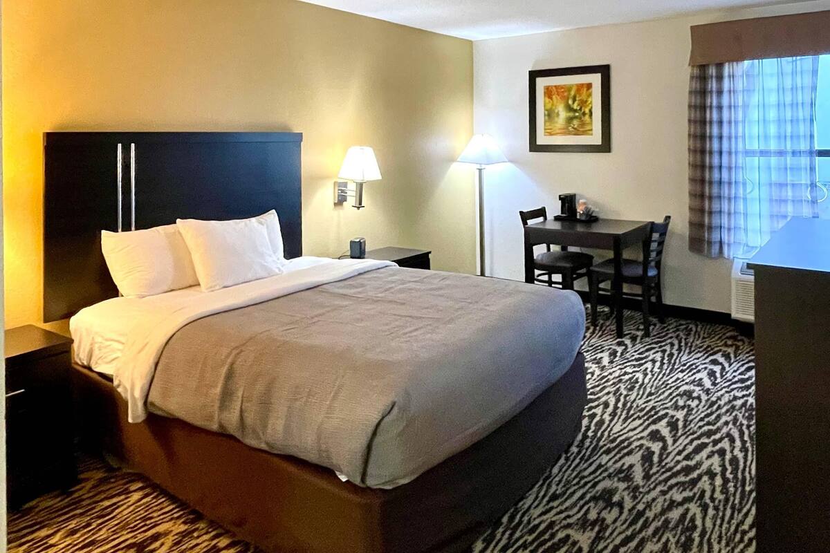 Una habitación de hotel con cama, mesita de noche, lámpara, escritorio, silla y alfombra con estampado de cebra.