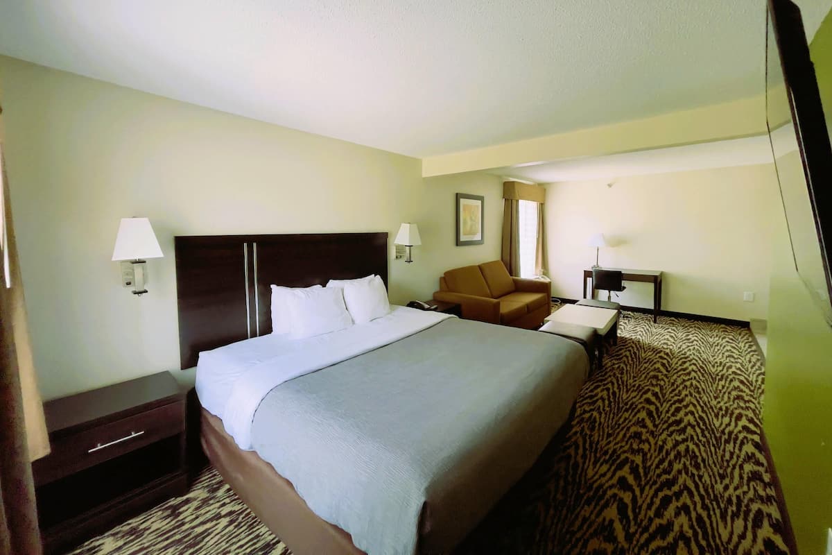 Suite, 1 King Bed, Non Smoking (Upgrade)
