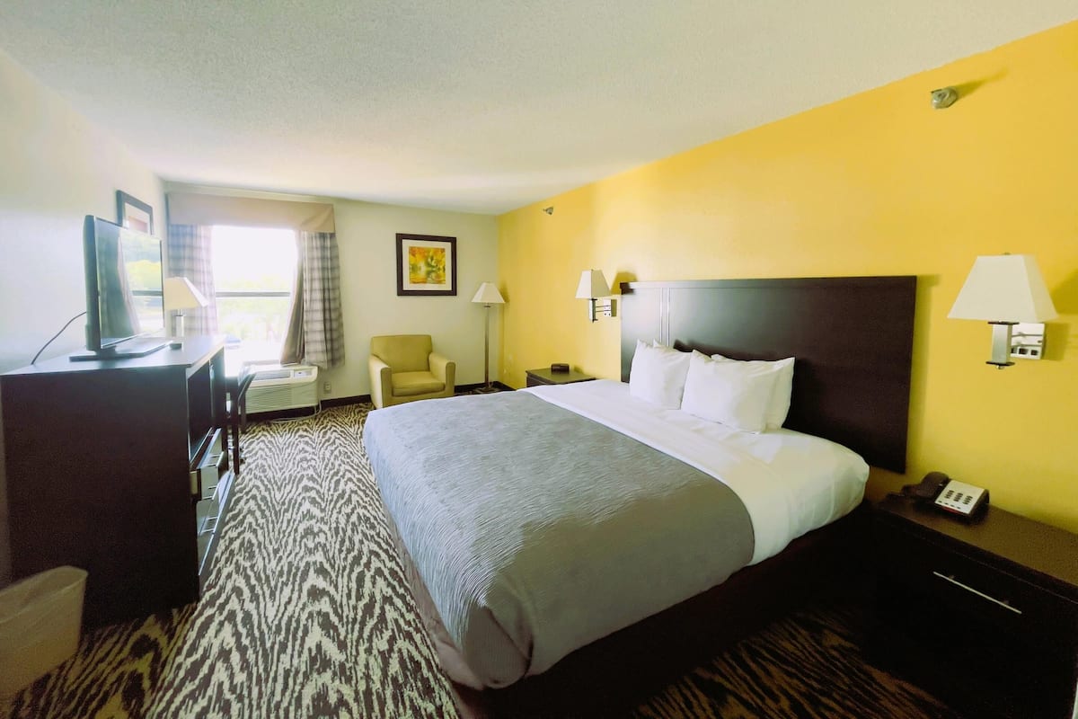 Standard Room, 1 King Bed, Non Smoking