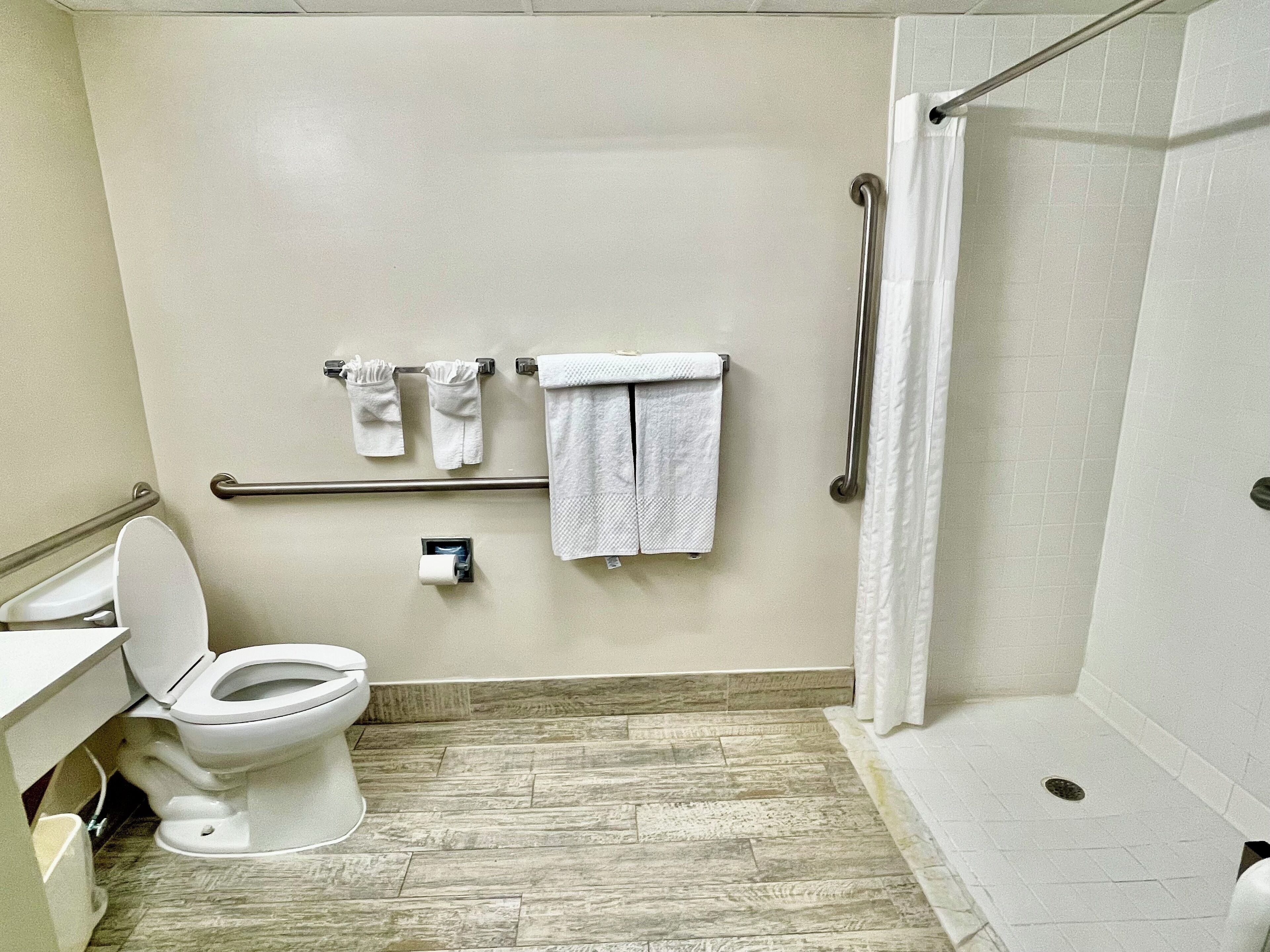 Ein Badezimmer mit Toilette, Dusche und Haltegriff.