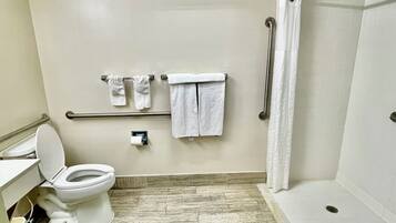 Ein Badezimmer mit Toilette, Dusche und Haltegriff.