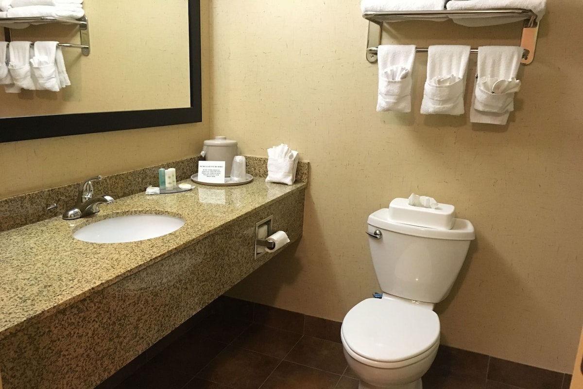 A bathroom with a granite countertop sink, a mirror, a toilet, and a towel rack with folded towels.