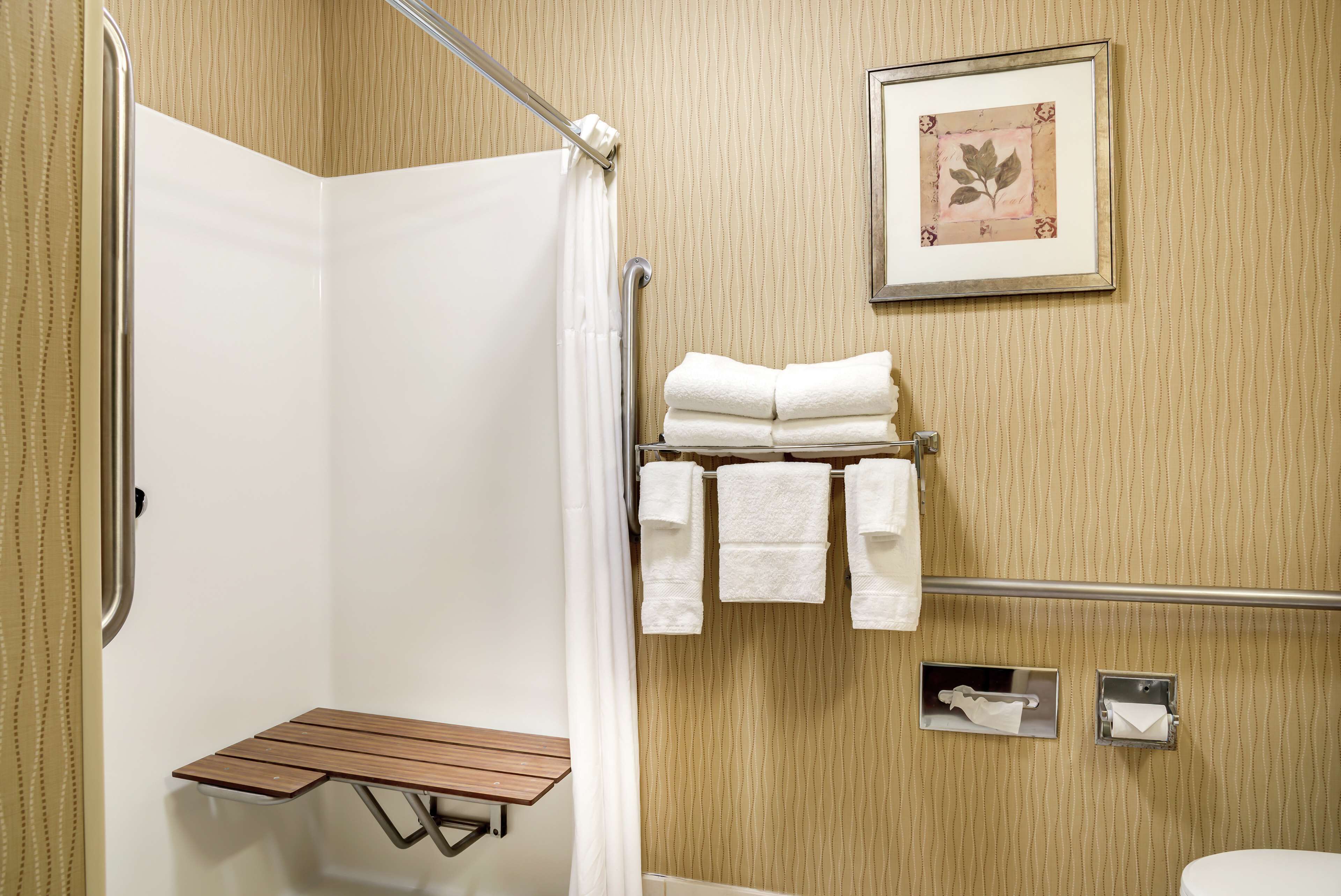 room, accessible, non smoking | bathroom shower