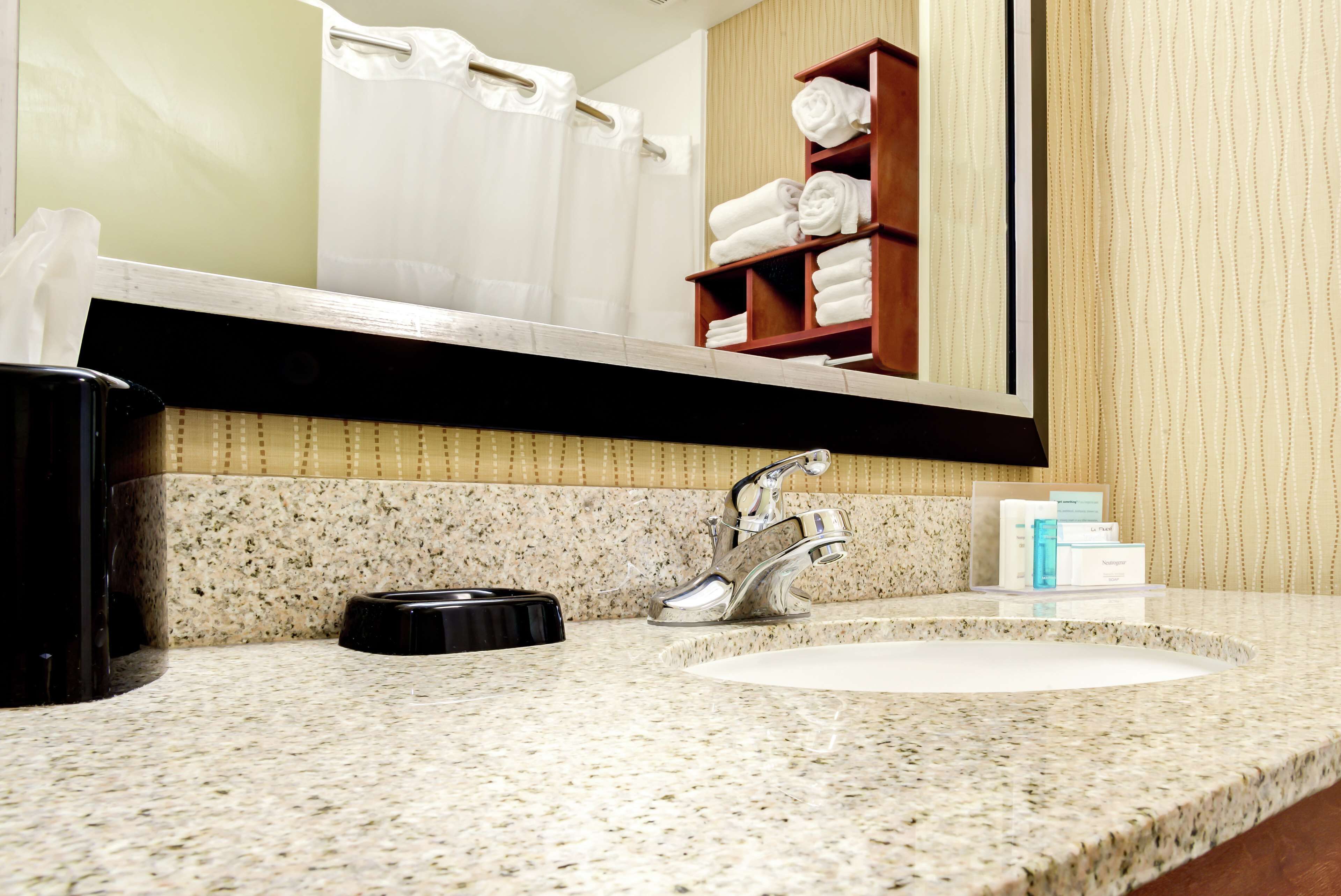 one king study sofabed nonsmoking | bathroom | shower, hair dryer, towels, toilet paper