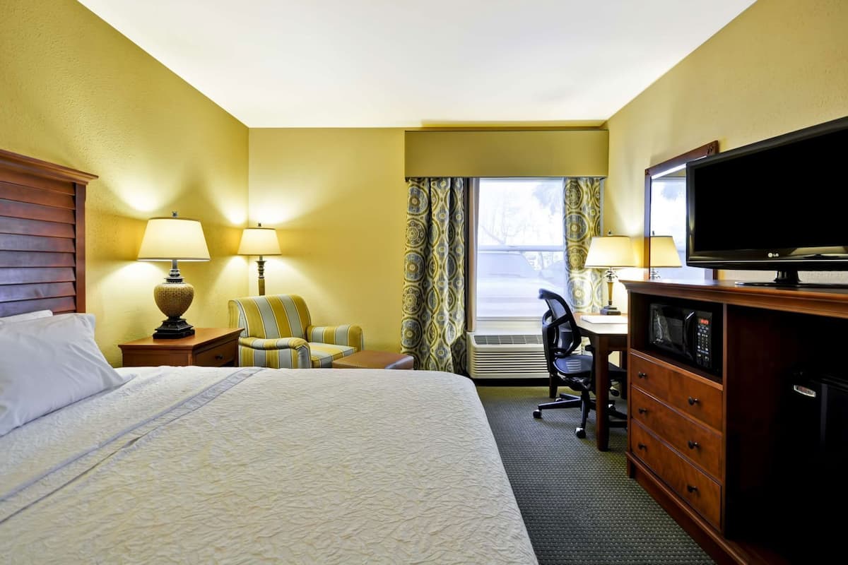 A hotel room with a bed, a desk, a television, a chair, and a dresser.