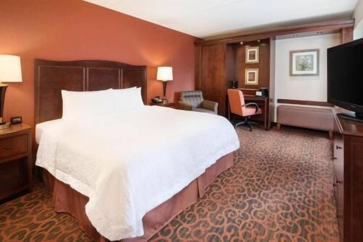 A hotel room with a large bed, a desk, a chair, a television, and a patterned carpet.