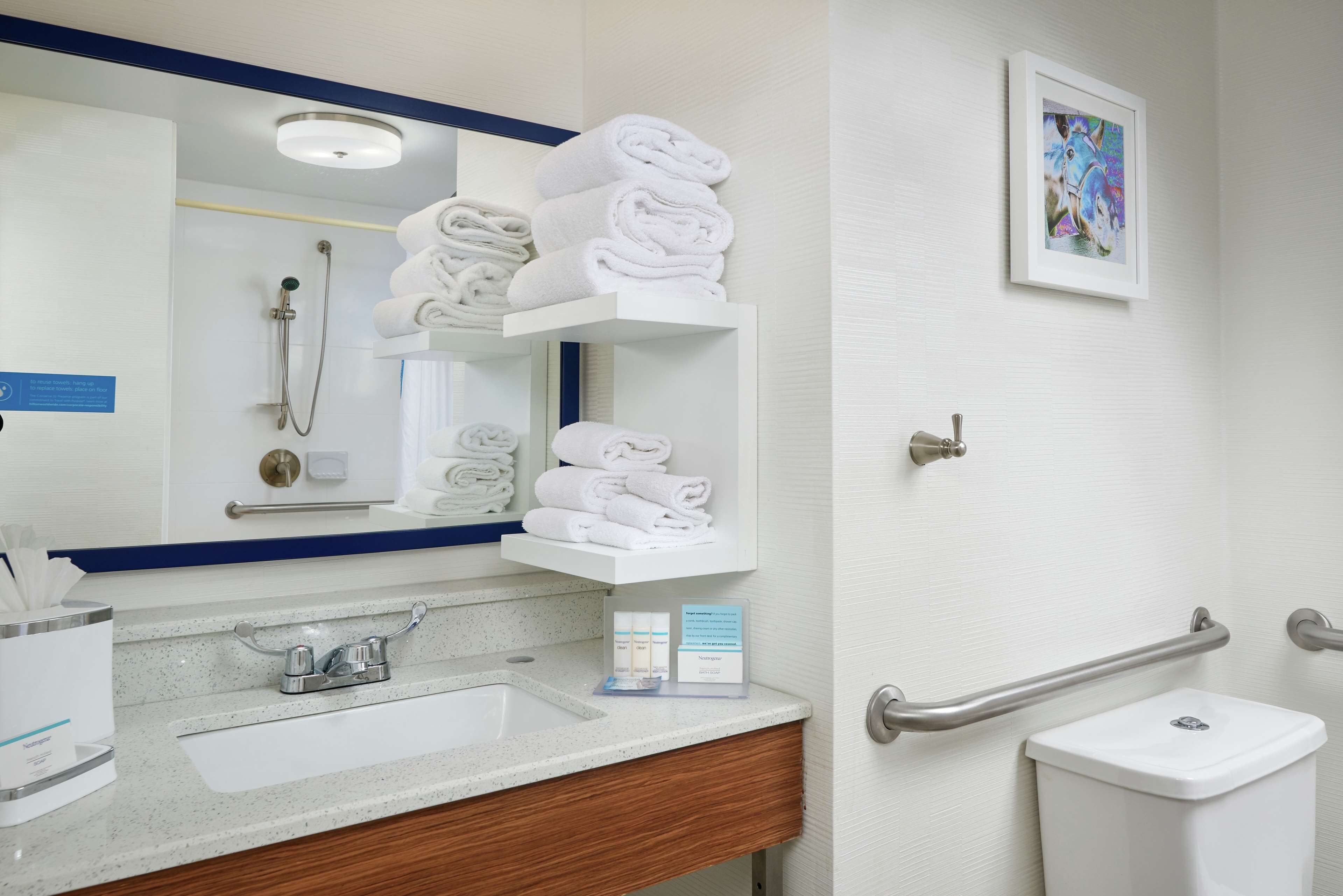 room, 1 king bed, accessible | bathroom shower