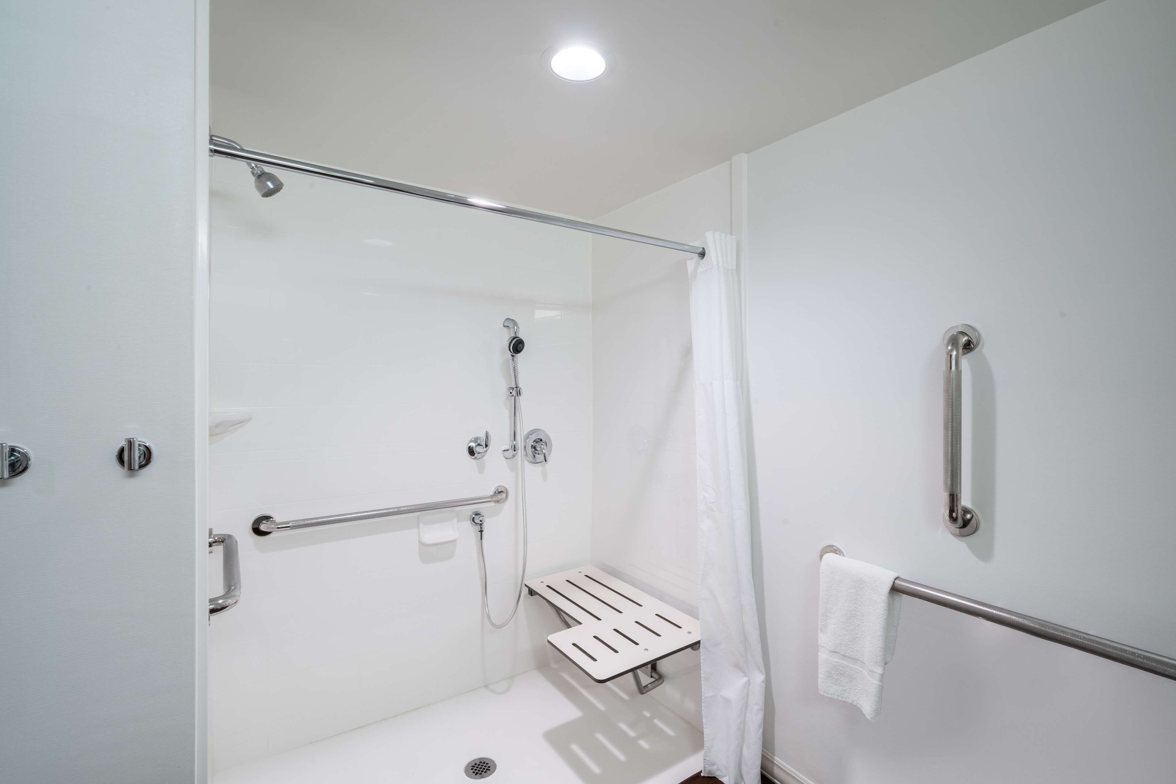 room, 1 king bed, accessible, non smoking | bathroom shower