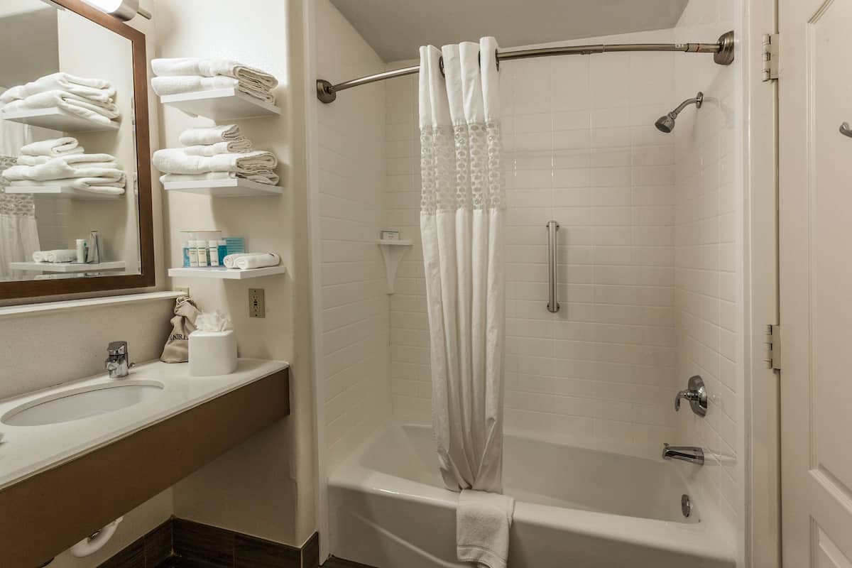 suite, 1 king bed, non smoking | bathroom | hydromassage showerhead, free toiletries, hair dryer, towels