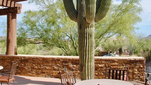 An outdoor patio with a stone wall, wooden pergola, and a cactus.