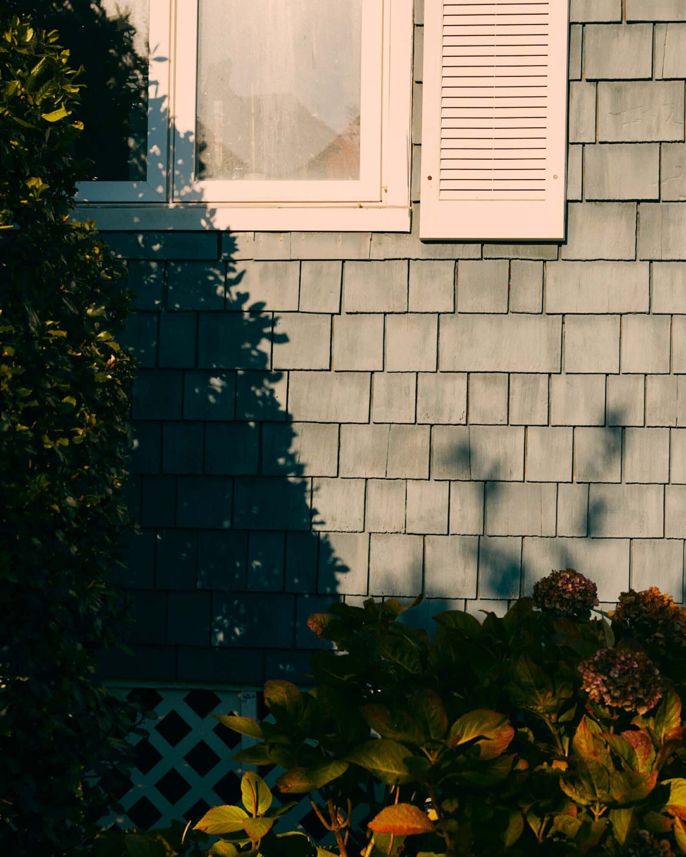 A building with a window and shutters, a brick wall, and some foliage.