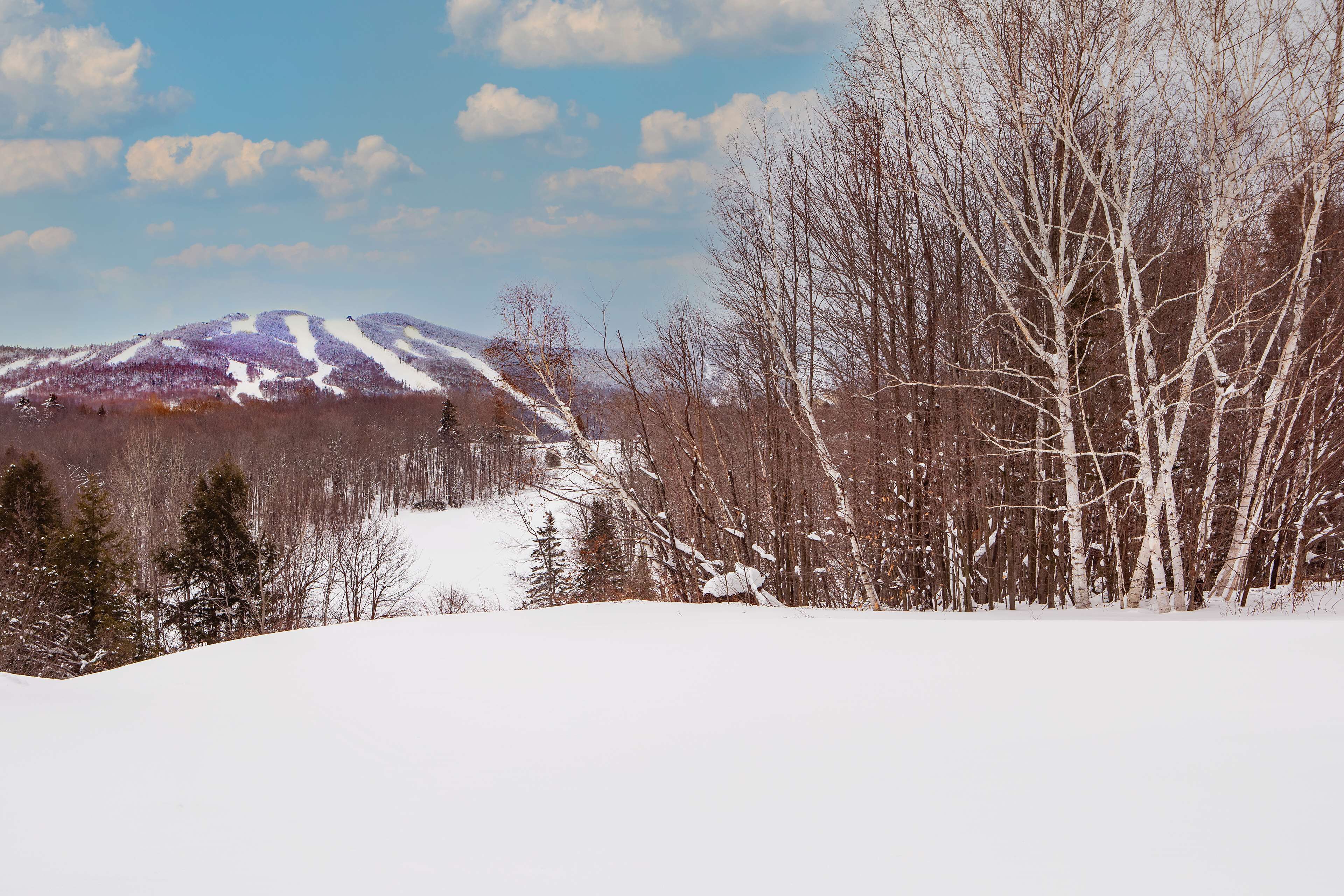 A snowy landscape with a mountain in the background and leafless trees in the foreground.