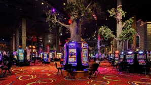 A casino with slot machines, a large tree, and a red carpeted floor.