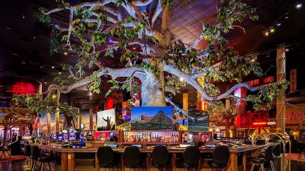 A bar area with a large tree sculpture, bar stools, and a variety of liquor bottles.