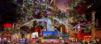 Buffalo Bill's Resort & Casino