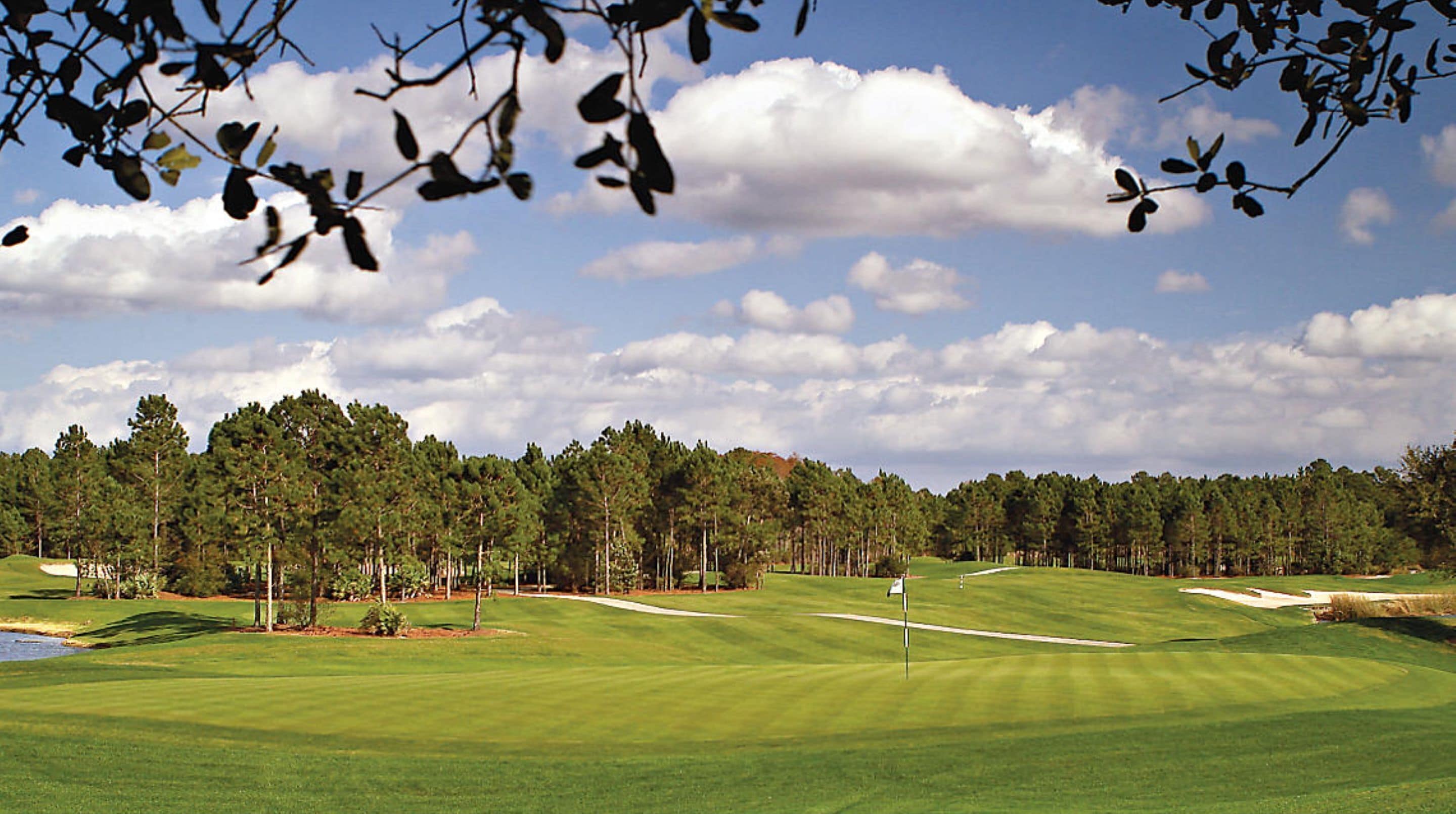 A golf course with a flagstick, sand bunkers, and a dense line of trees in the background.