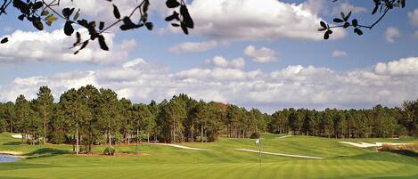 A golf course with a flagstick, sand bunkers, and a dense line of trees in the background.