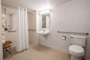 Standard Studio, 1 Queen Bed, Accessible, Non Smoking (Roll-In Shower) | Bathroom