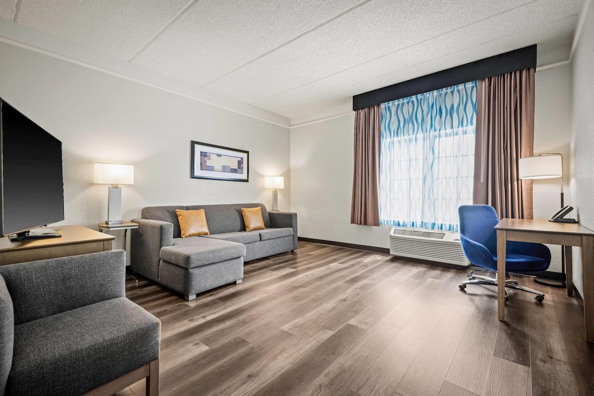 Suite, 1 King Bed, Non Smoking | Pillow-top beds, desk, iron/ironing board, free WiFi