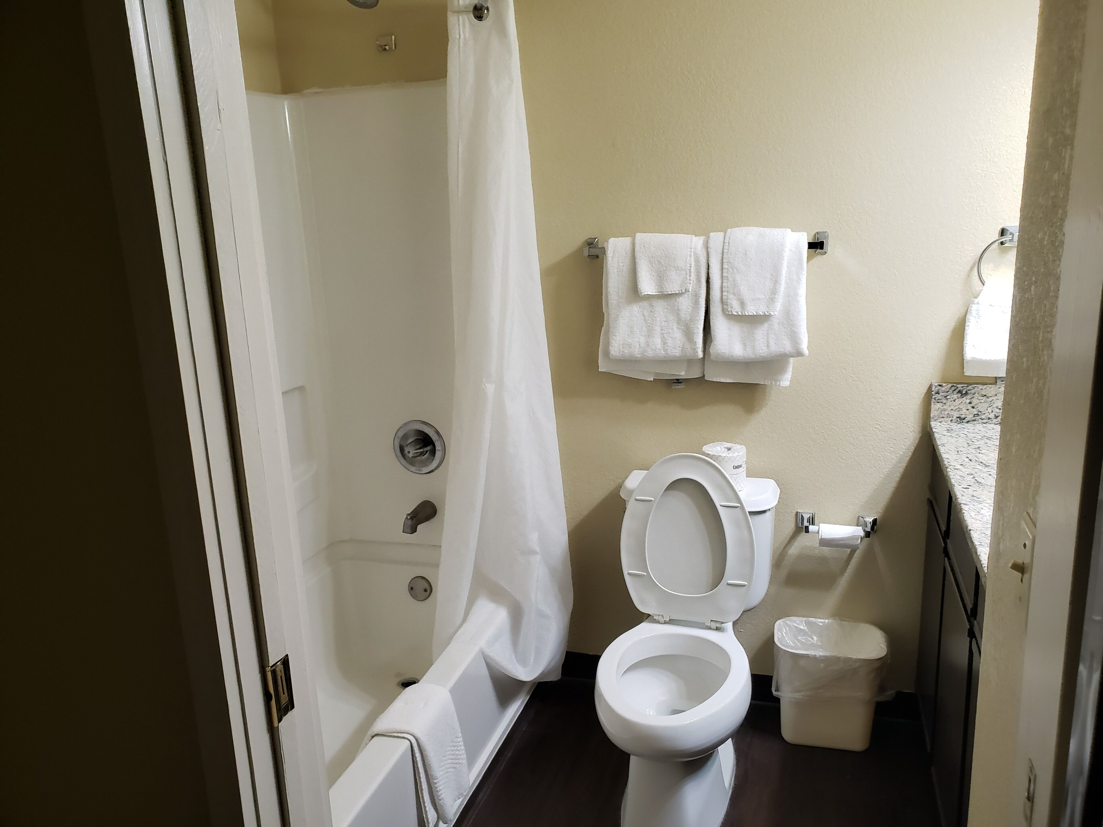 Une salle de bain avec une baignoire, des toilettes et un rideau de douche.