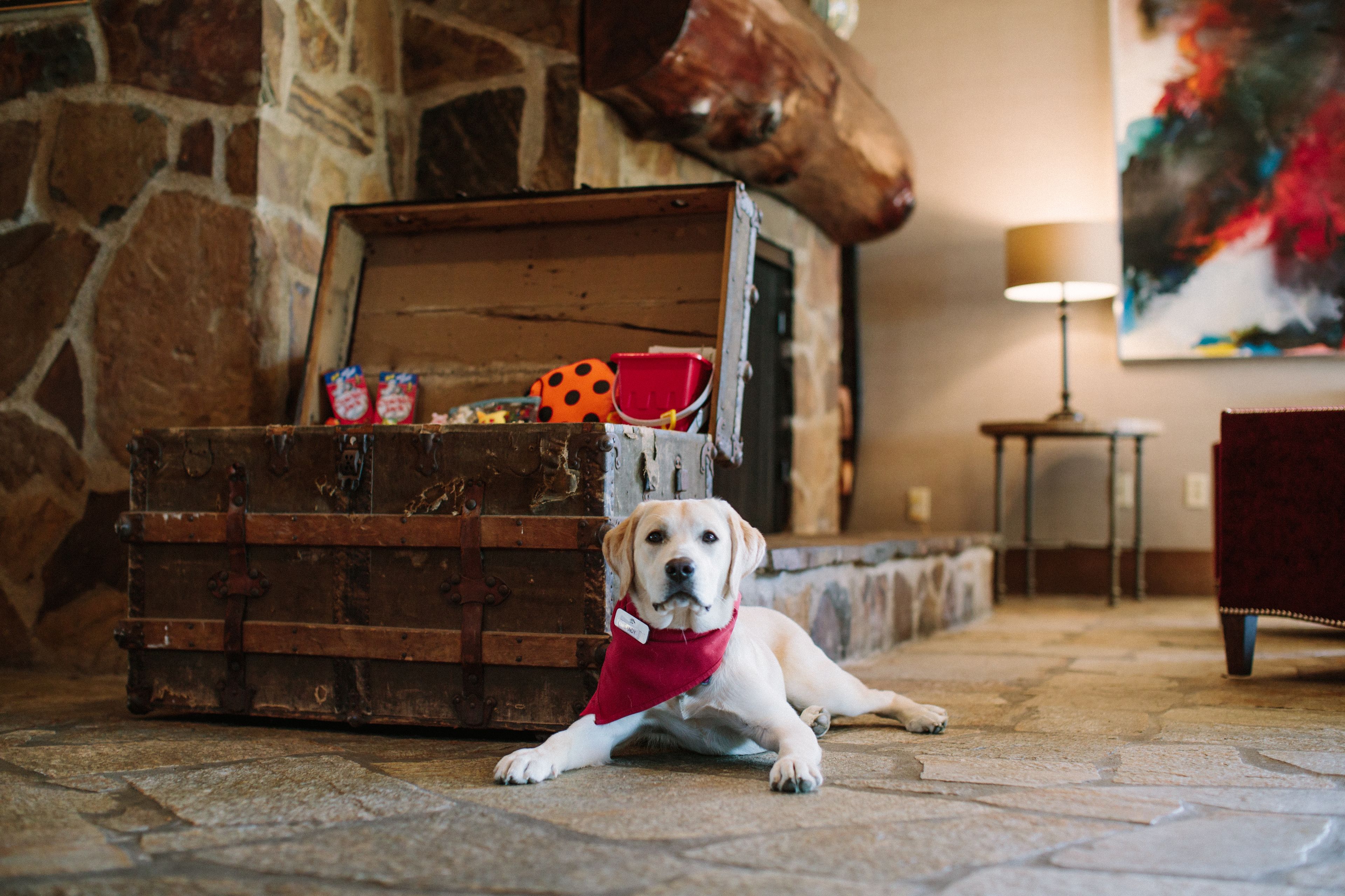 A dog lying in front of a rustic stone fireplace with a wooden chest.