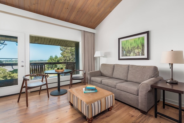 TV LCD, lareira, filmes pagos