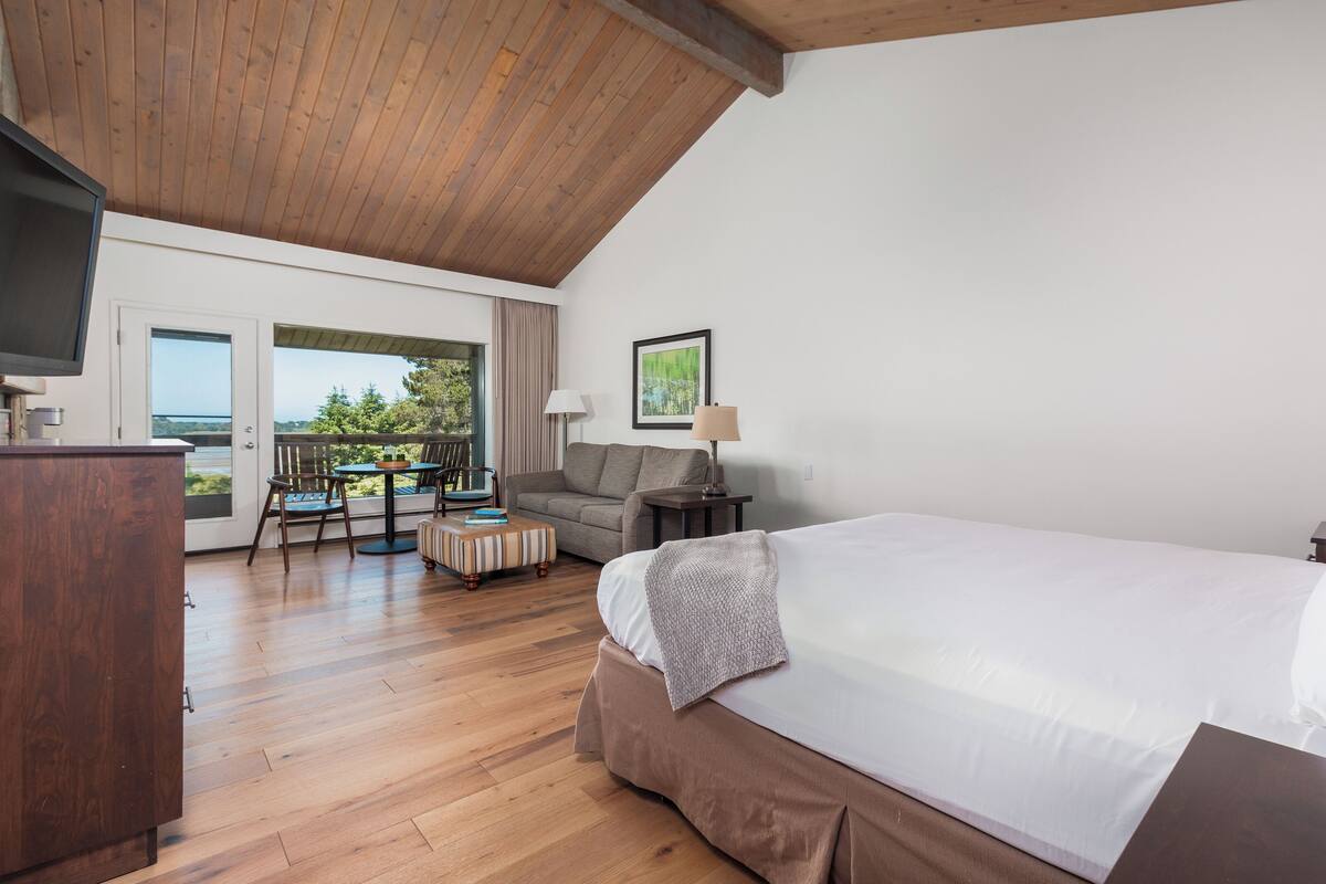 Une chambre à coucher avec un grand lit, un plancher en bois, une télévision, un bureau et une chaise.
