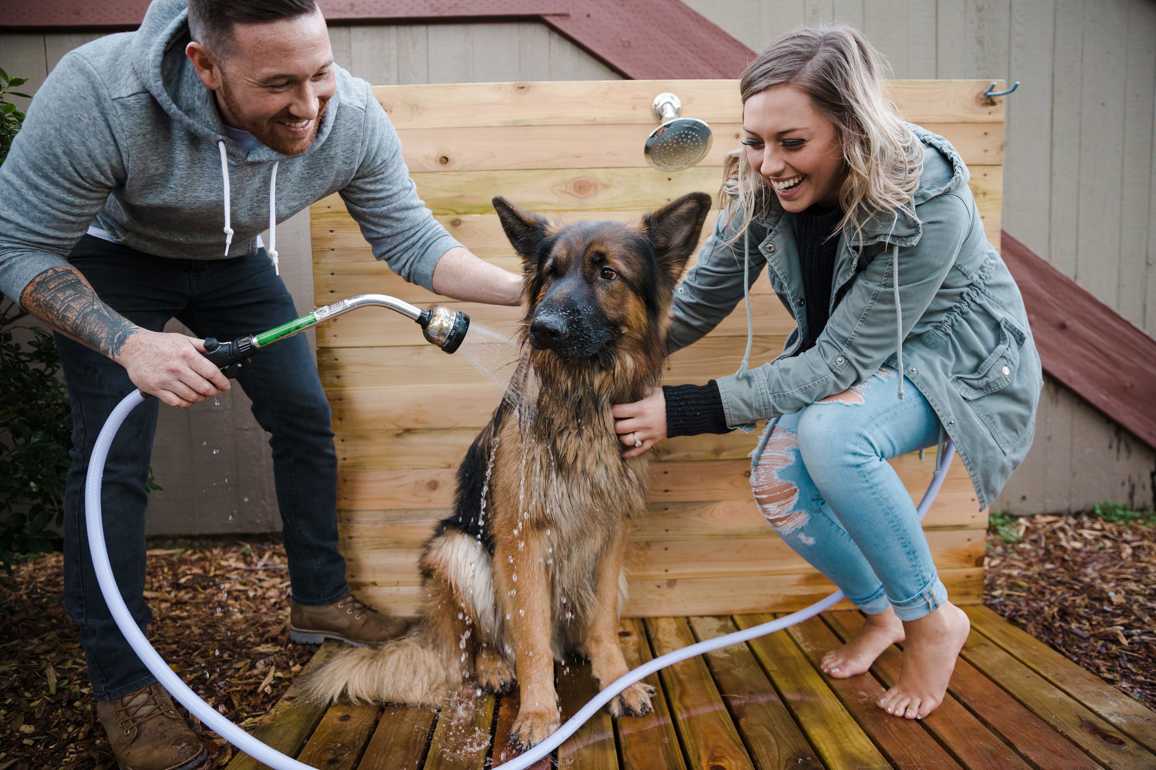 A wooden deck with a dog being showered by two people.