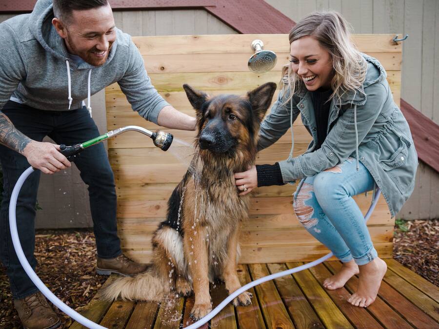 A wooden deck with a dog being showered by two people.
