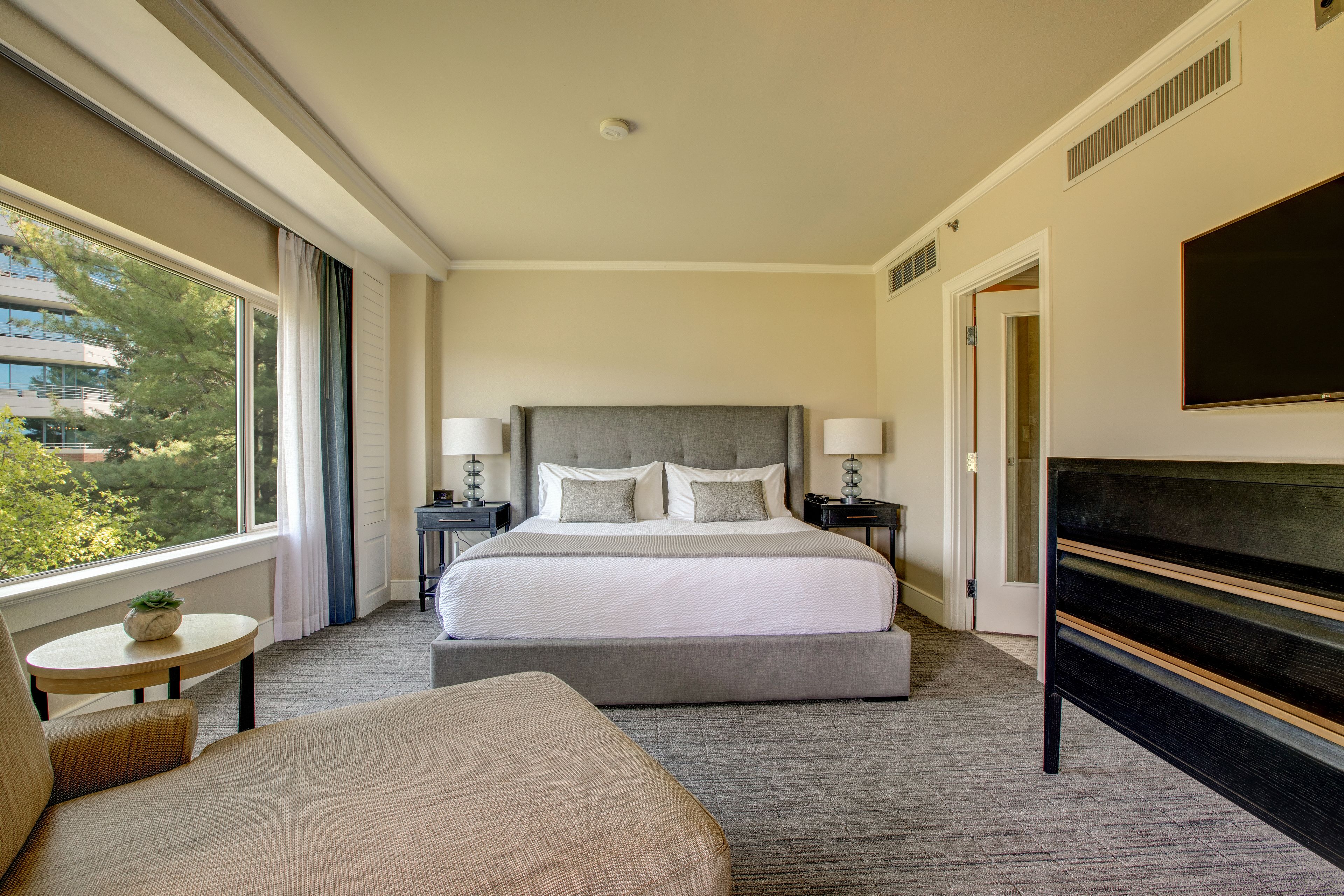 A hotel room with a large bed, bedside tables, a TV, and a view of trees through the window.