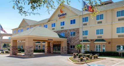 Comfort Suites North Dallas