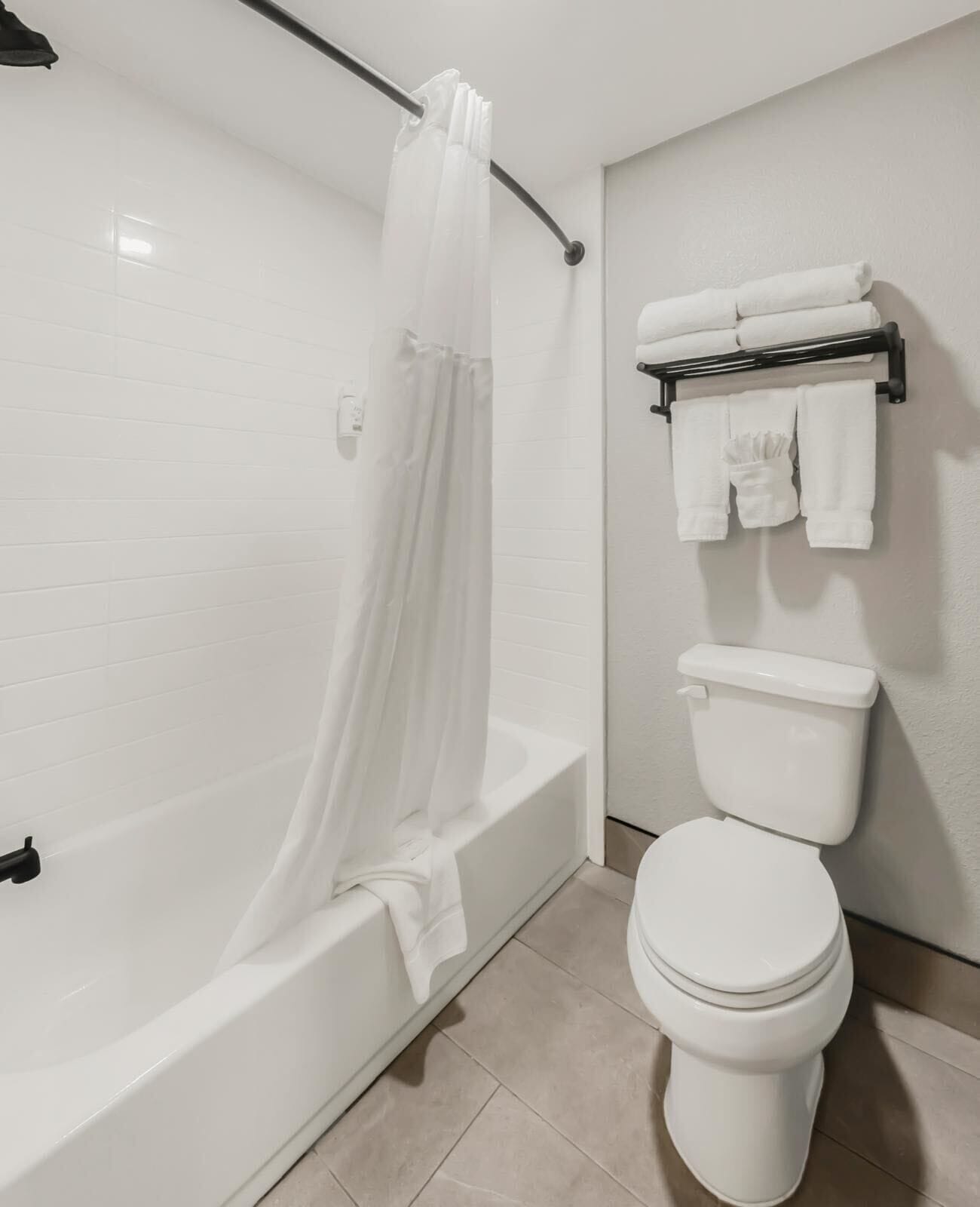 combined shower/bathtub, free toiletries, hair dryer, towels