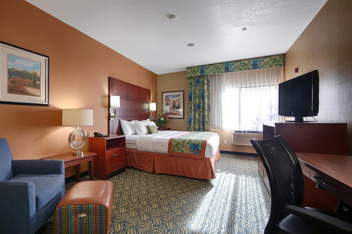 A hotel room with a bed, a desk, a chair, a sofa, a TV, and a painting on the wall.