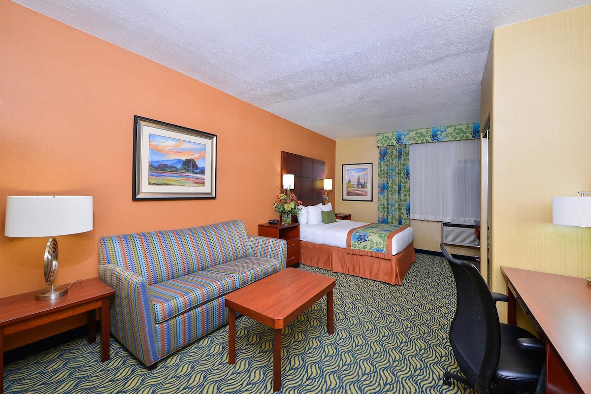 A hotel room with a sofa, a bed, a desk, and a chair.