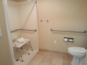 Accessible bathroom with a shower stall, toilet, and grab bars for support.