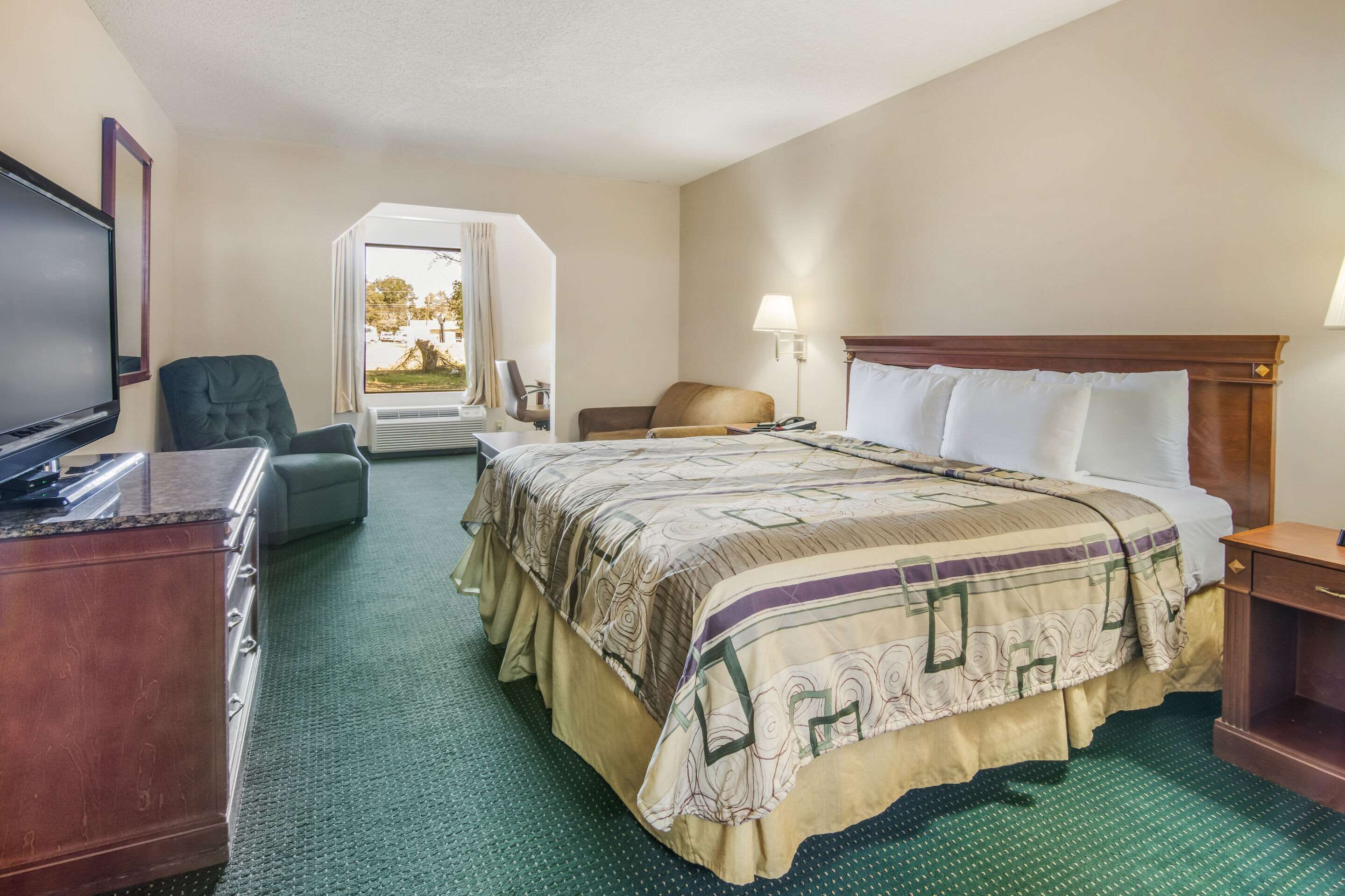 Camera d'albergo con un letto grande, una scrivania con televisore, una sedia, una lampada e una finestra con vista sugli alberi.