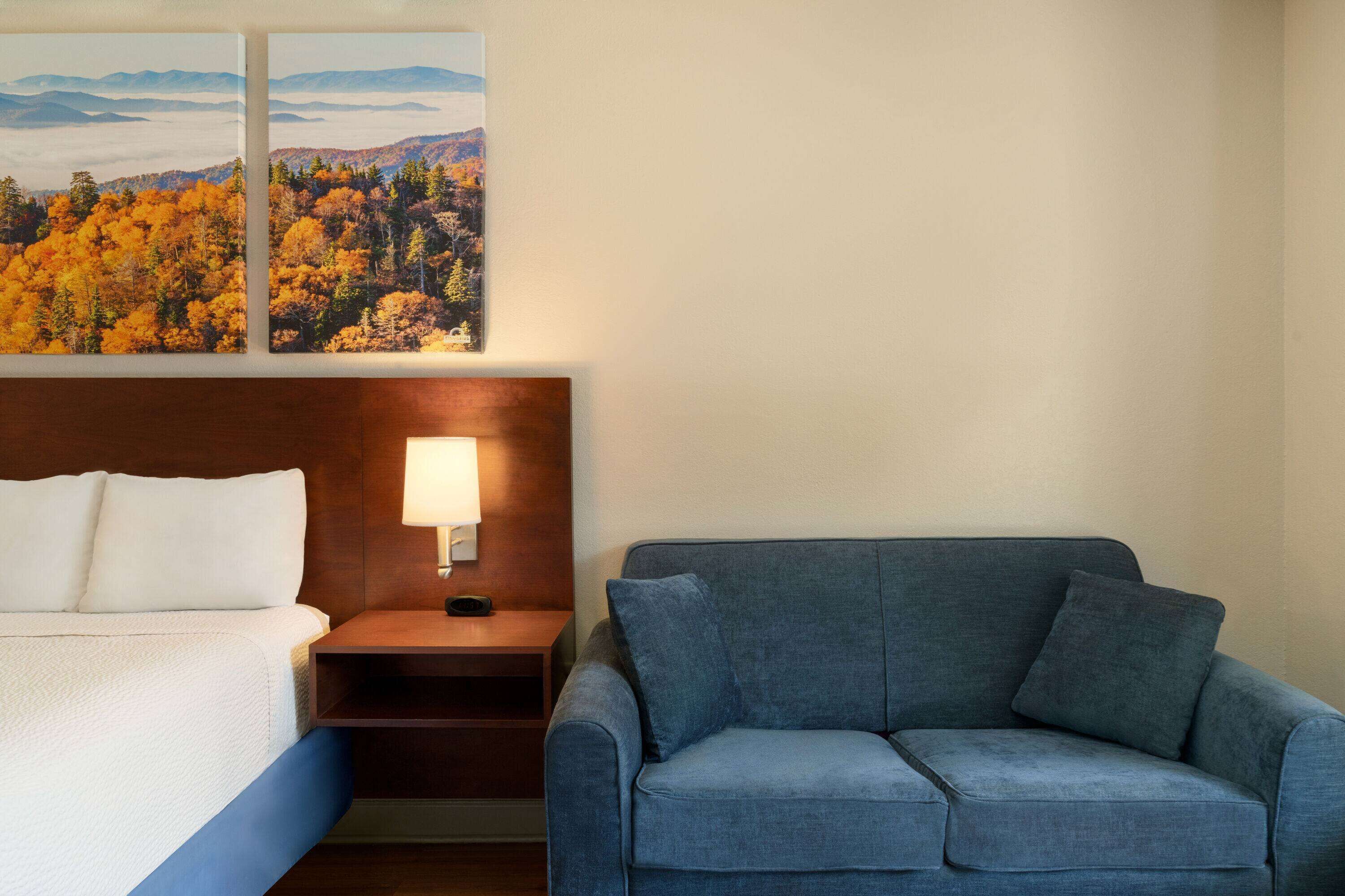 A hotel room with a bed, a blue sofa, a nightstand with a lamp, and two framed pictures of a forest landscape.