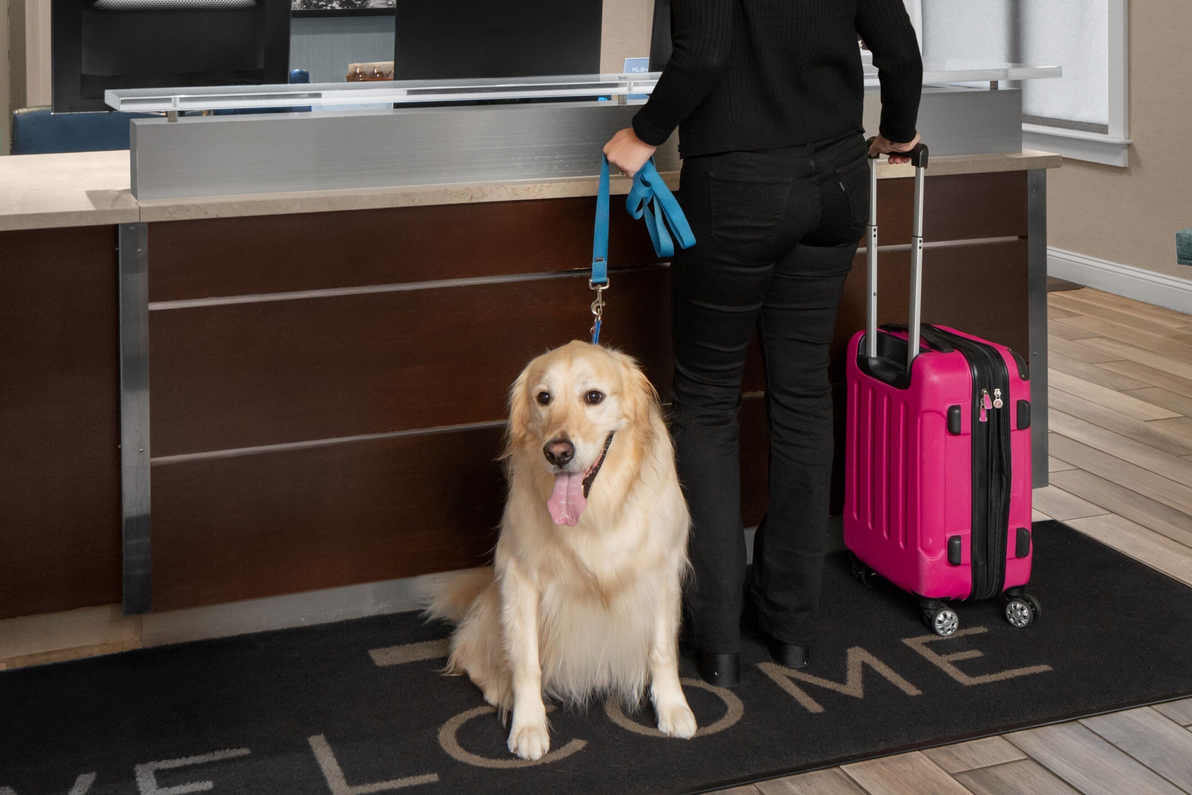 check-in/check-out kiosk