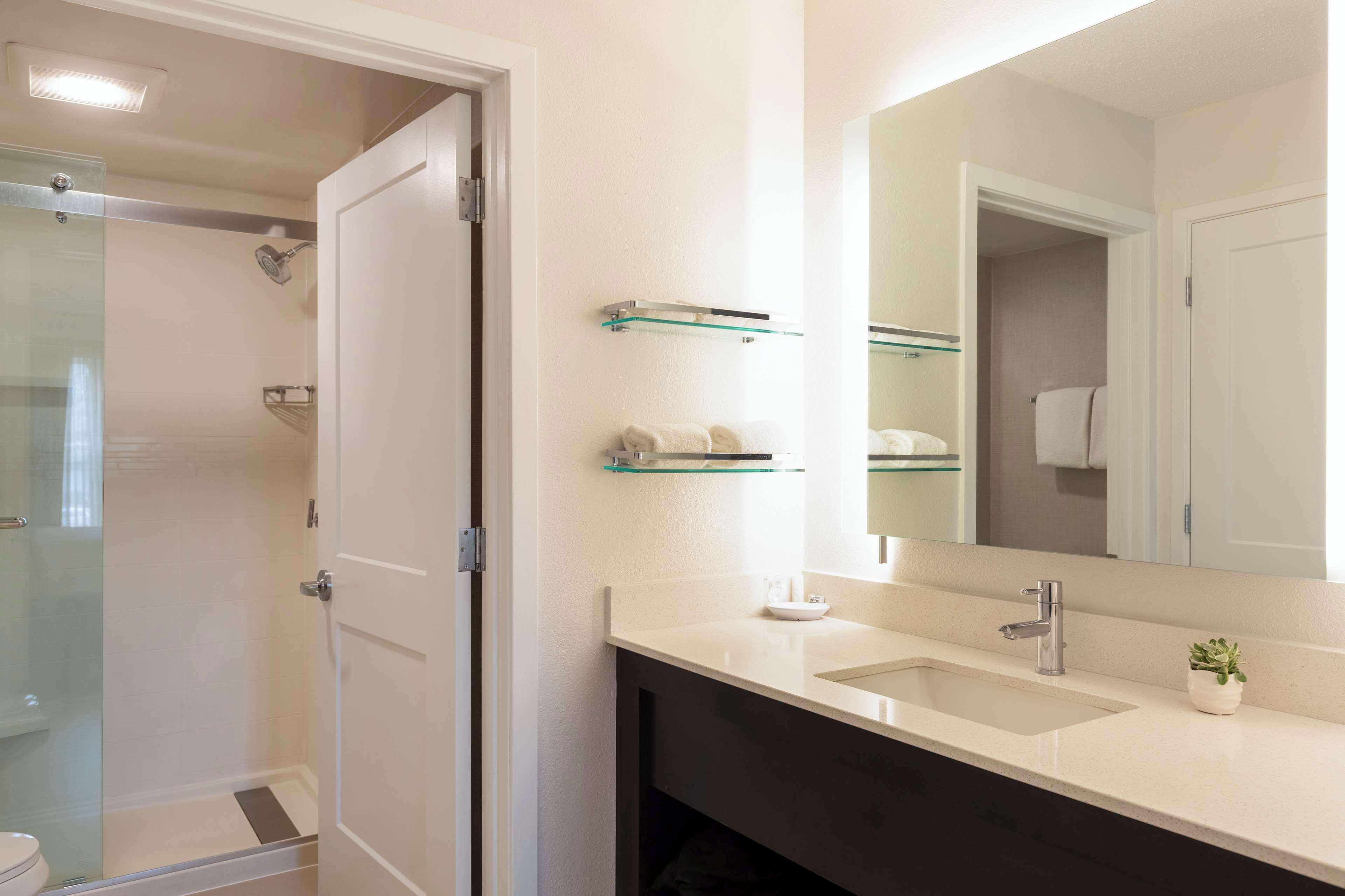 Une salle de bain avec une douche à parois de verre, un lavabo blanc avec un miroir et une petite plante en pot.
