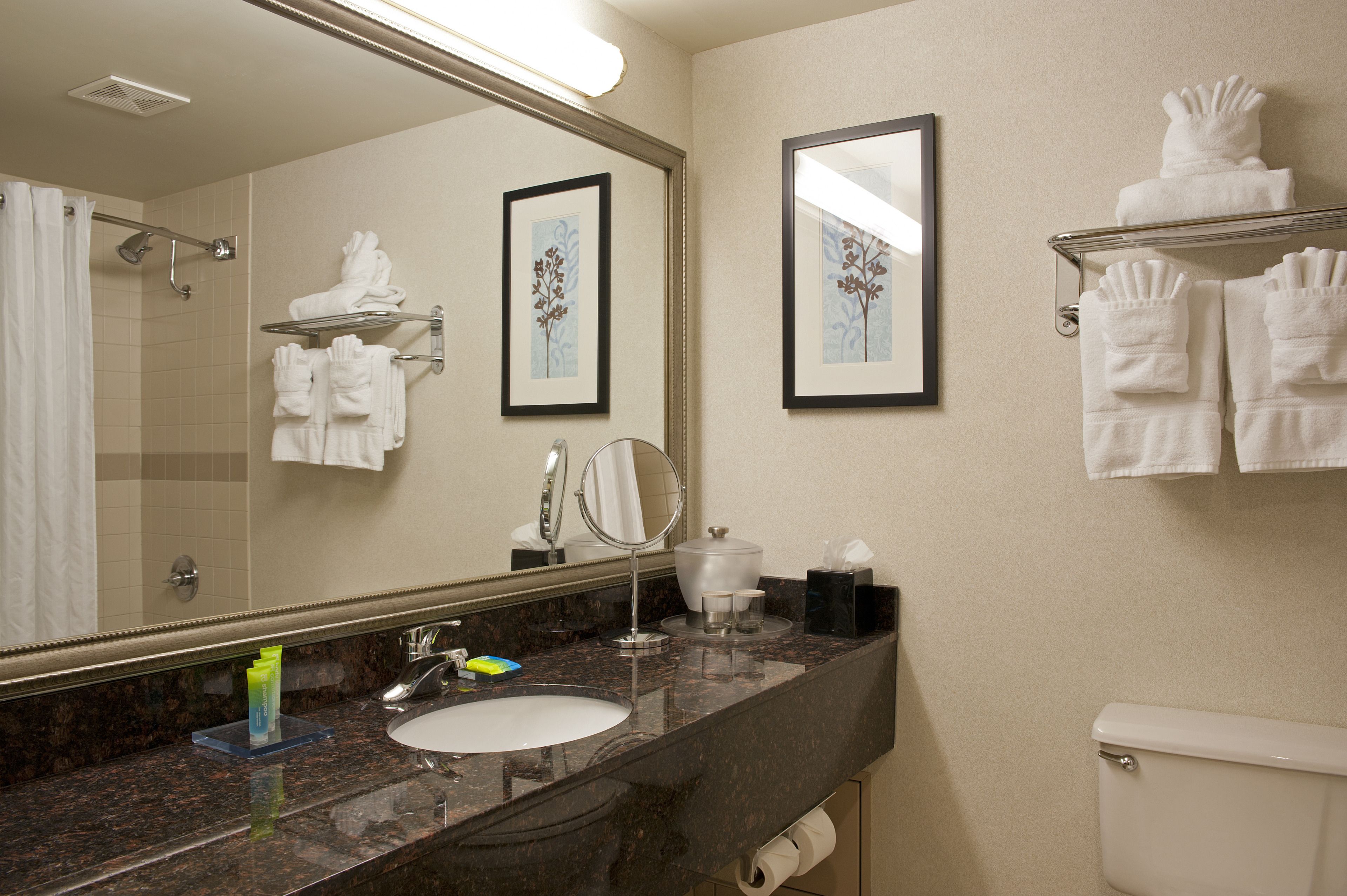 combined shower/bathtub, free toiletries, hair dryer, towels