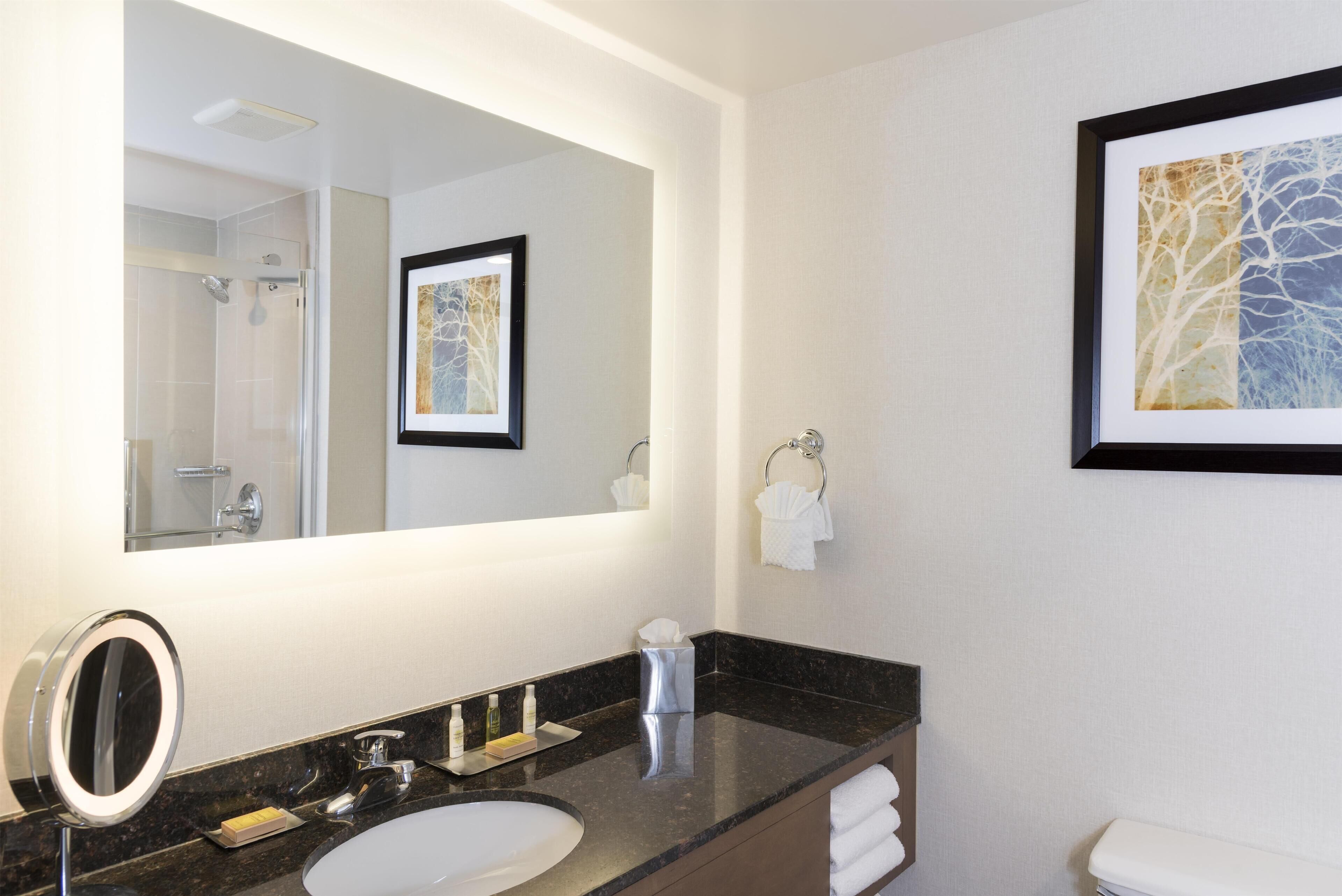 Combined shower/bathtub, free toiletries, hair dryer, towels