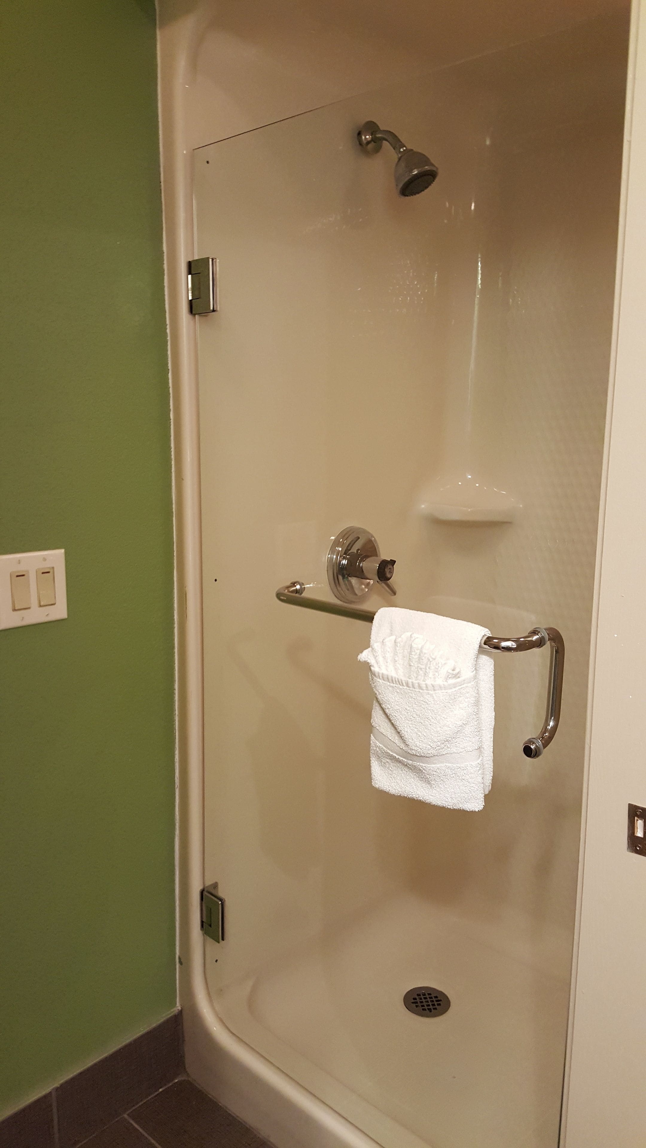 A shower with a glass door, a handheld showerhead, a handheld shower attachment, a towel rack with a towel, and a wall-mounted light switch.