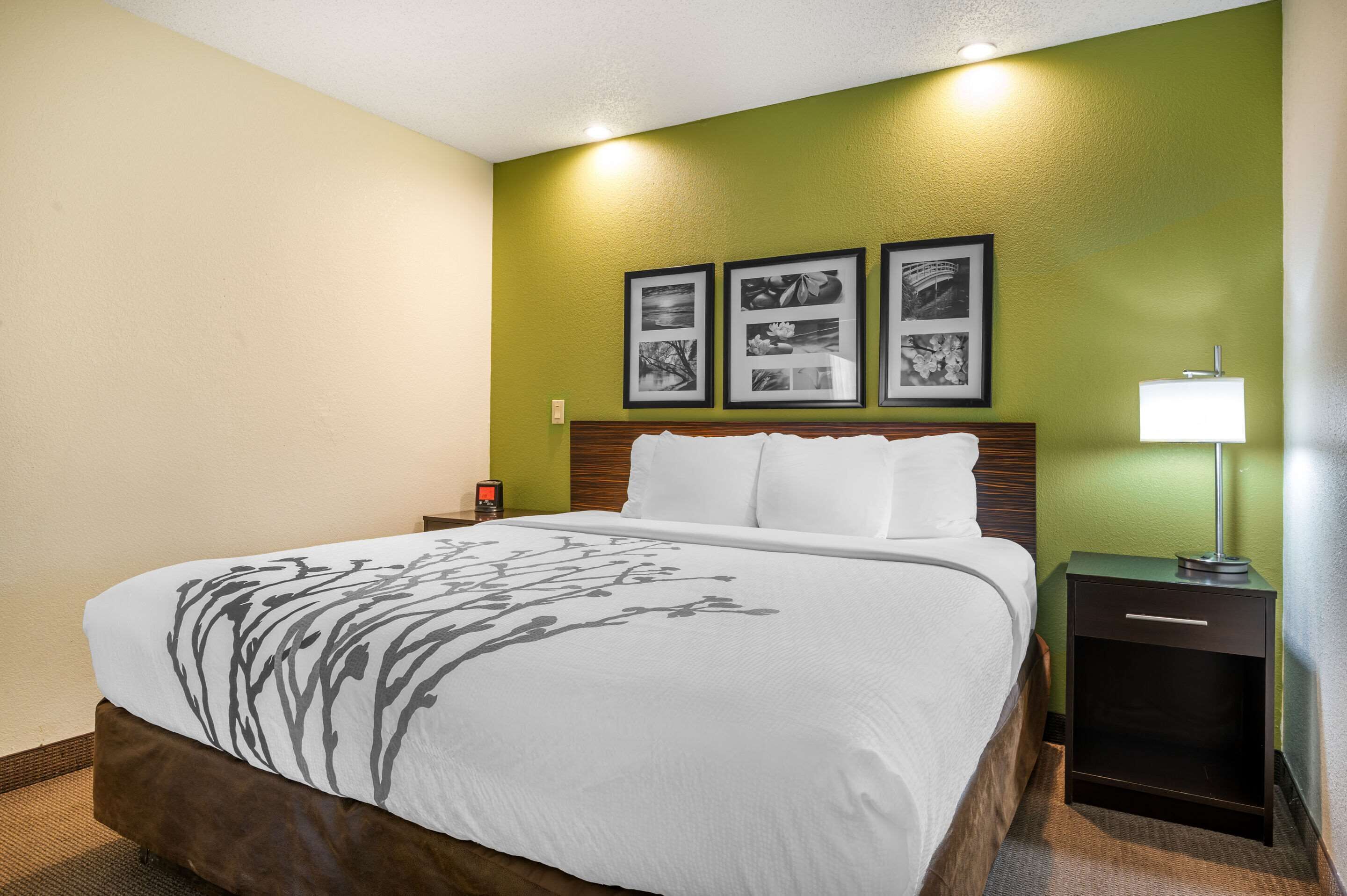 A hotel room with a bed, a nightstand, a lamp, and three framed pictures on the wall.