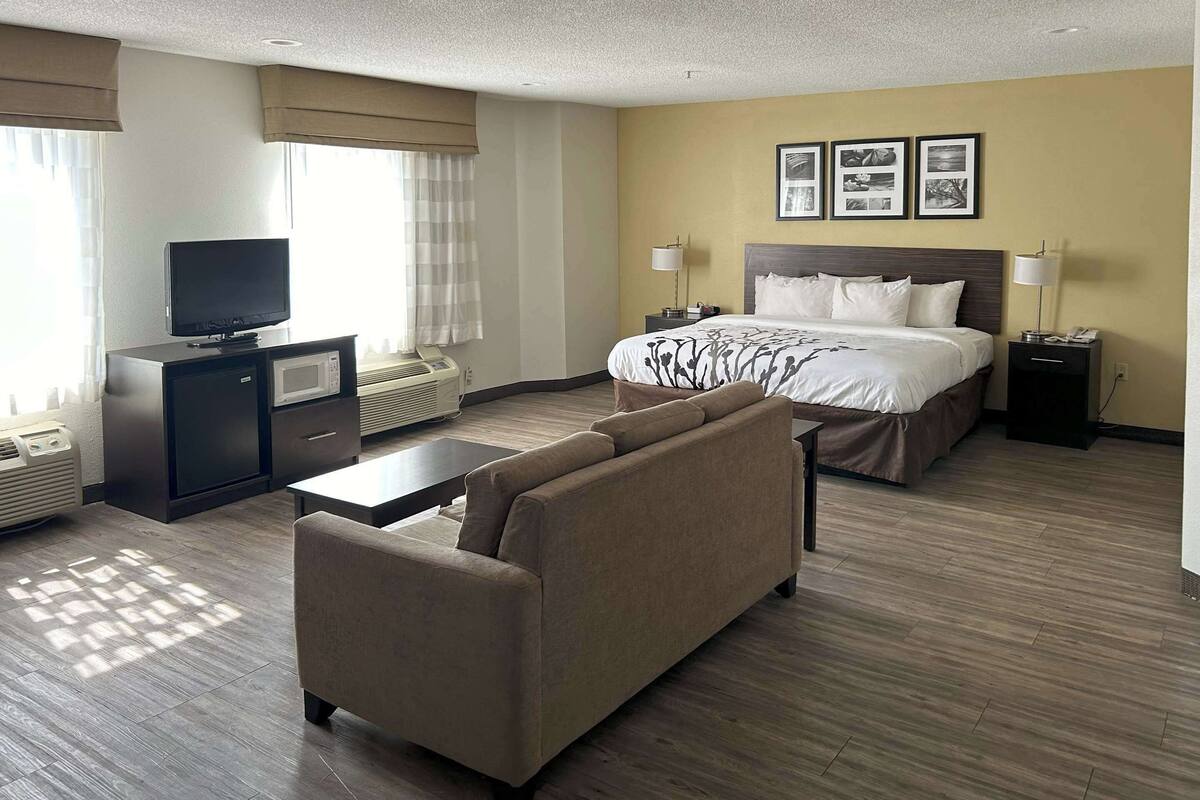 A hotel room with a bed, a TV, a desk, a sofa, and a lamp.