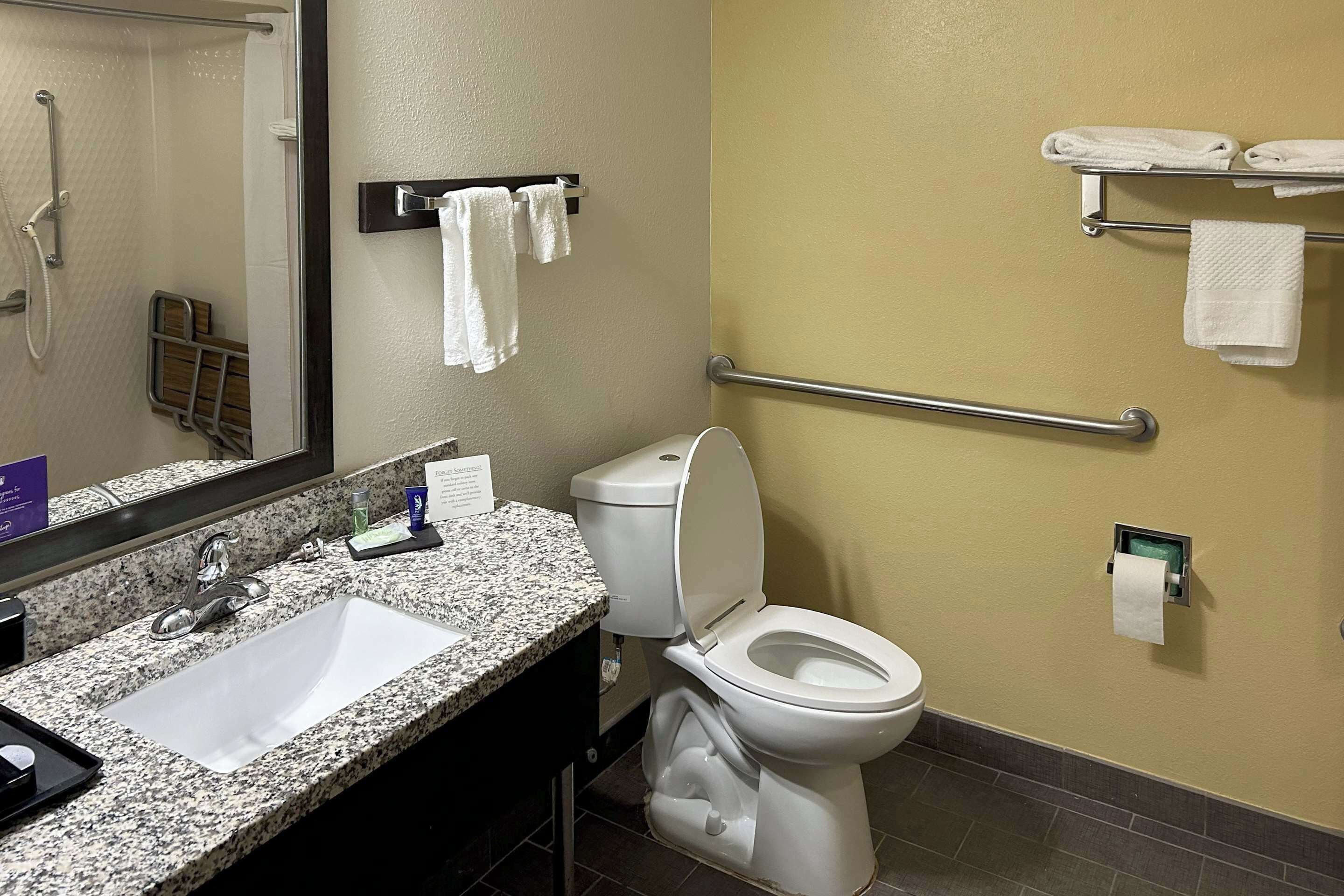 A bathroom with a sink, toilet, and handrails.