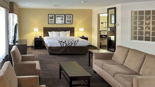Una habitación de hotel con una cama grande, dos mesitas de noche, un escritorio, un sofá y una mesa de centro.