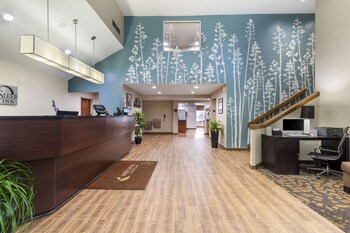 Hotel entrance and lobby at Sleep Inn Mt. Pleasant - Charleston