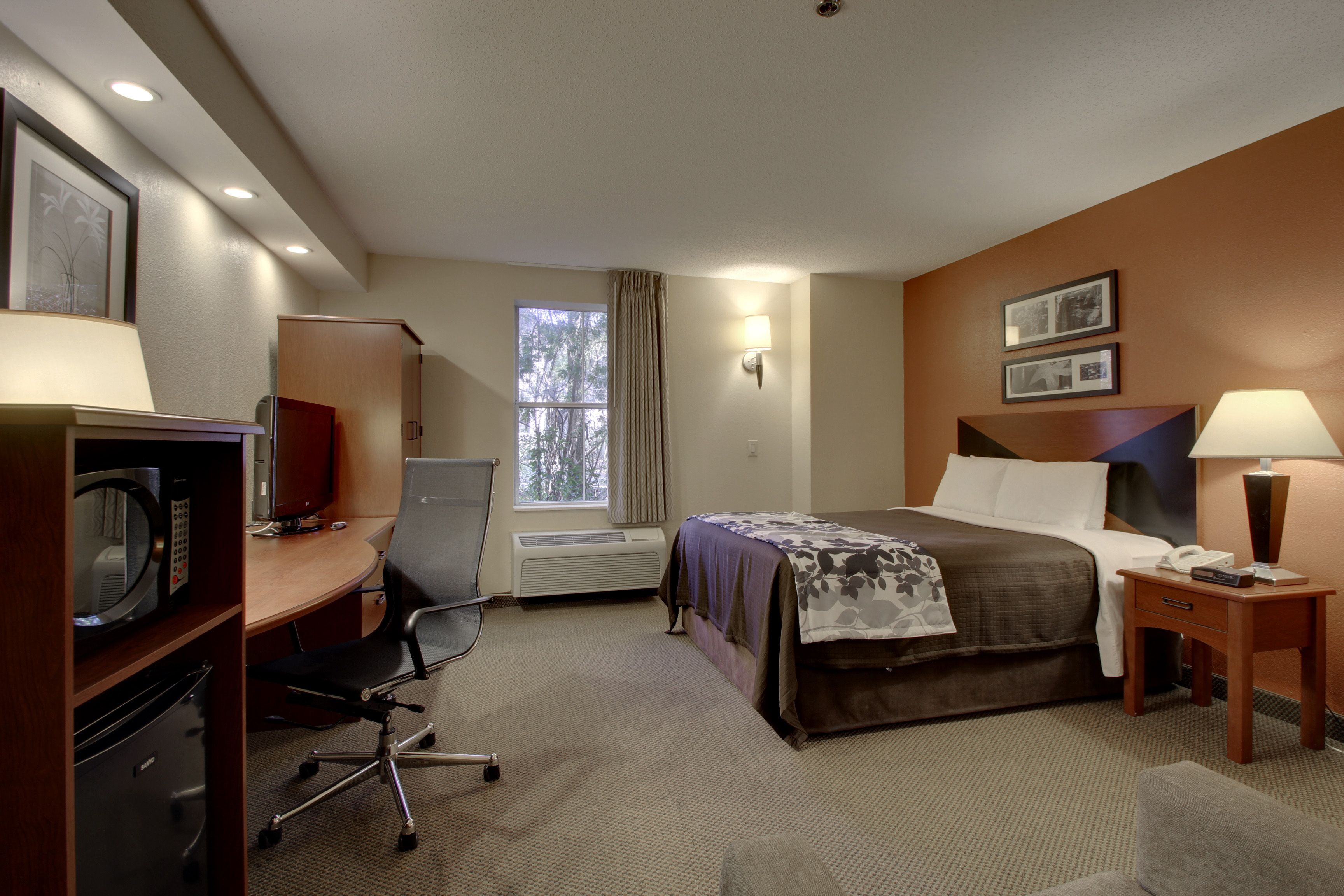 Foto - Sleep Inn Mt Pleasant - Charleston